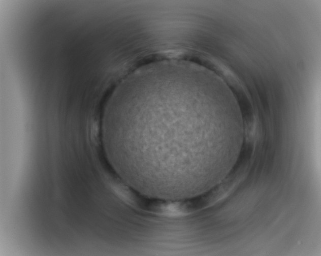 X0000115430365200911121108