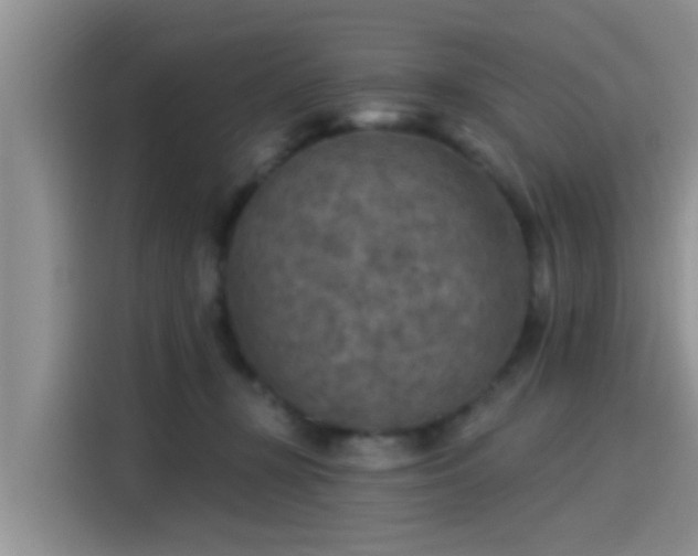 X0000115430367200911121108