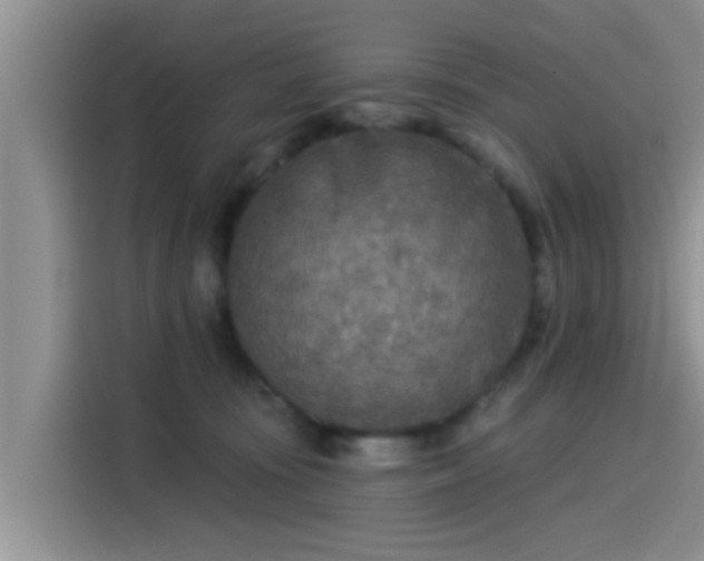 X0000115430371200911121108