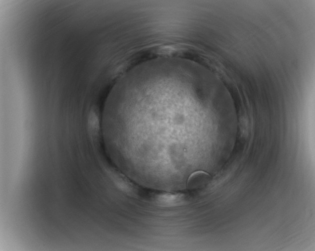 X0000115430375200911121108