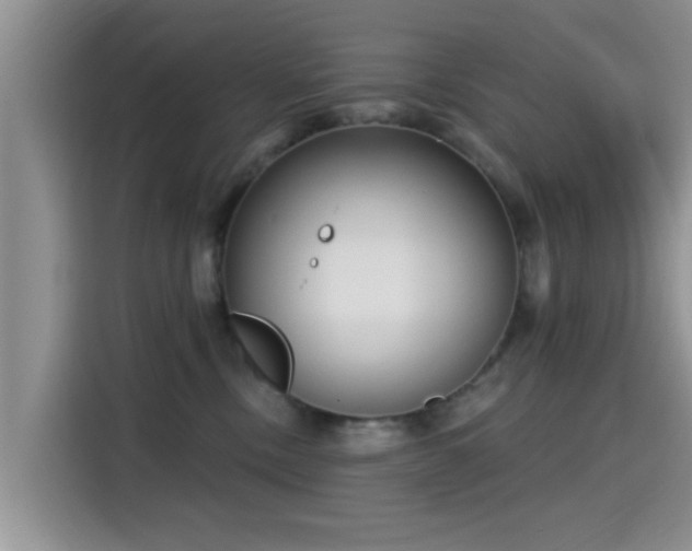 X0000115430378200911121108