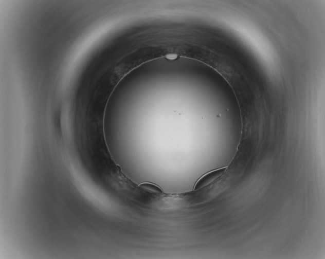 X0000115430383200911121108