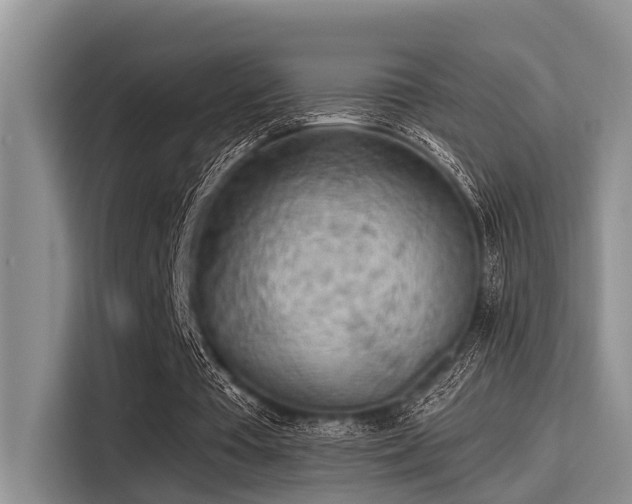 X0000115430385200911121107