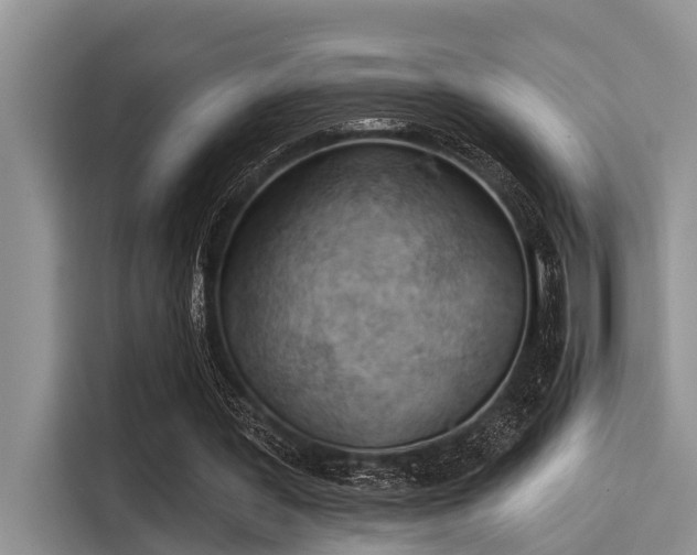 X0000115430387200911121107