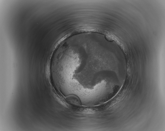 X0000115430390200911121107