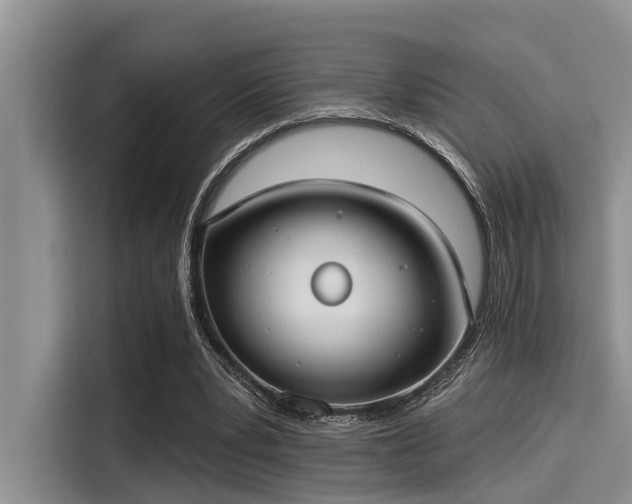 X0000115430391200911121107