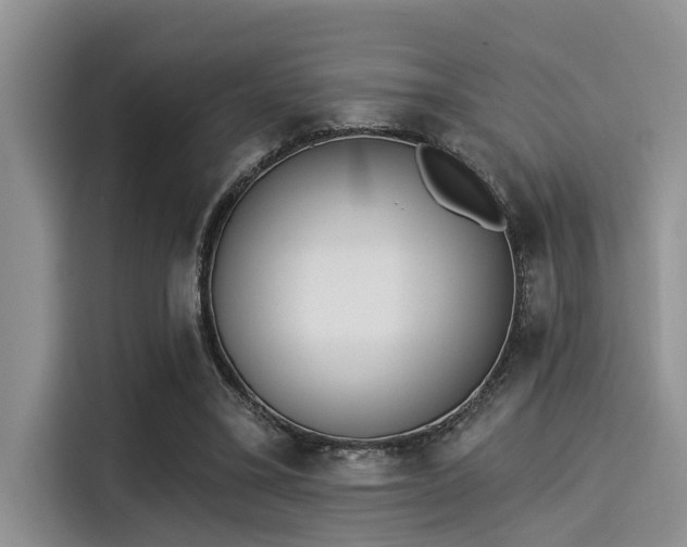 X0000115430395200911121107