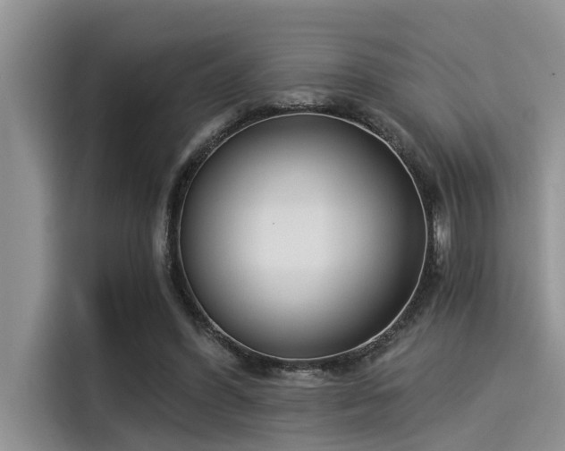 X0000115430396200911121107