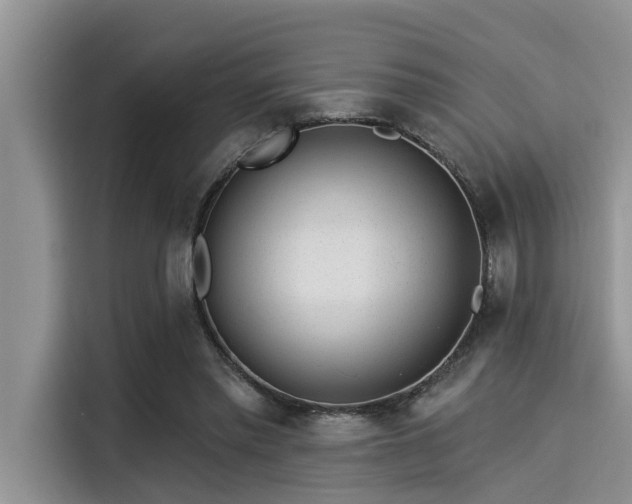 X0000115430397200911121107