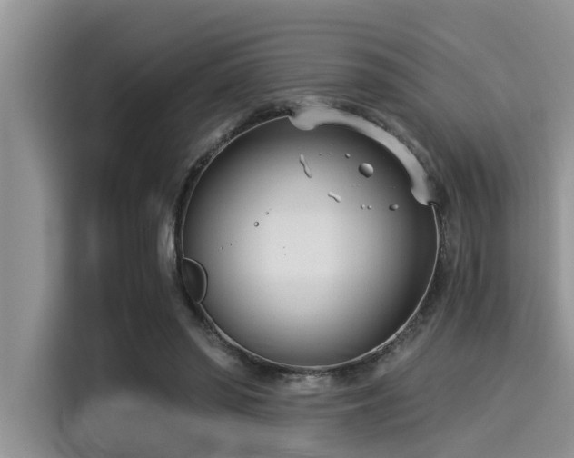 X0000115430398200911121107