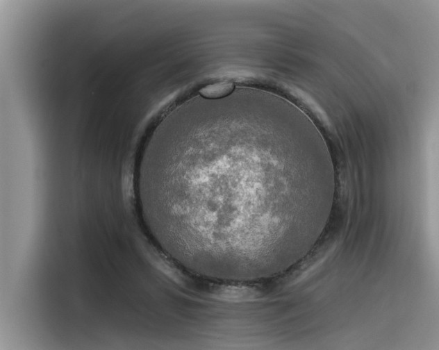 X0000115430399200911121107