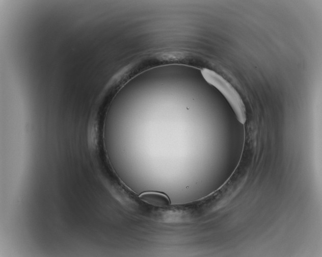 X0000115430400200911121107