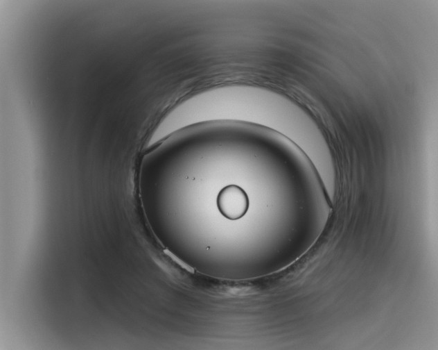 X0000115430401200911121107