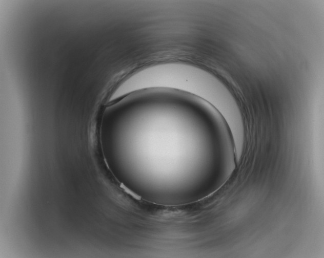 X0000115430403200911121107