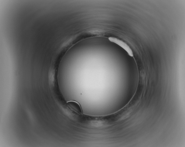 X0000115430404200911121107