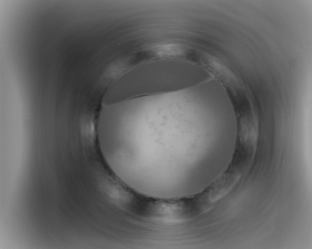 X0000115430405200911121107
