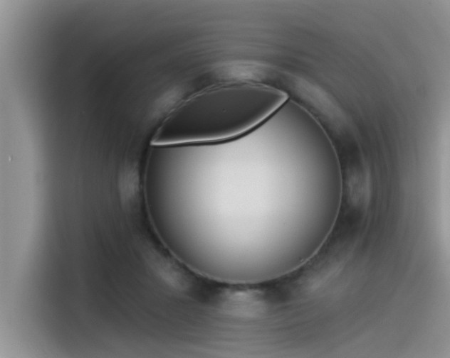 X0000115430407200911121107