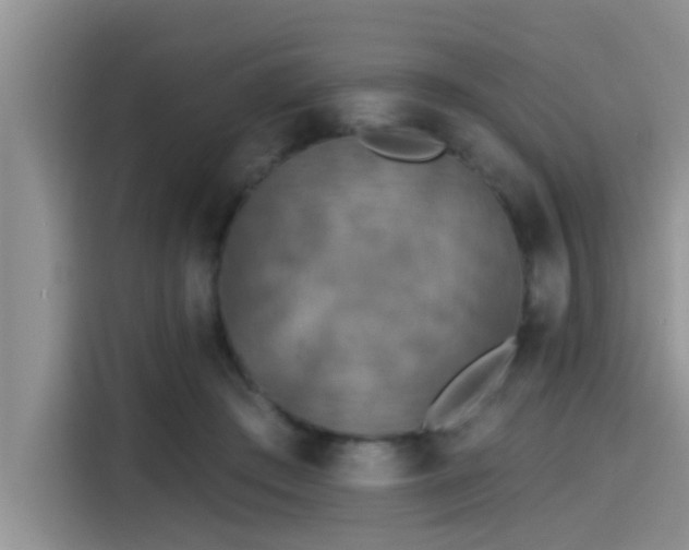 X0000115430409200911121107