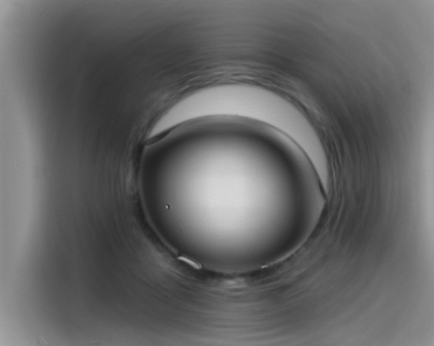 X0000115430411200911121107