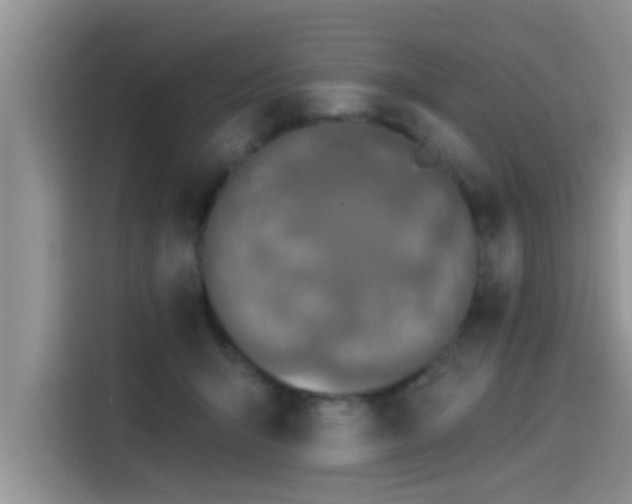 X0000115430415200911121107