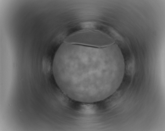 X0000115430417200911121107