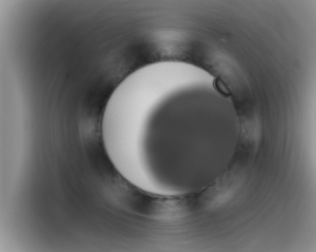 X0000115430419200911121107