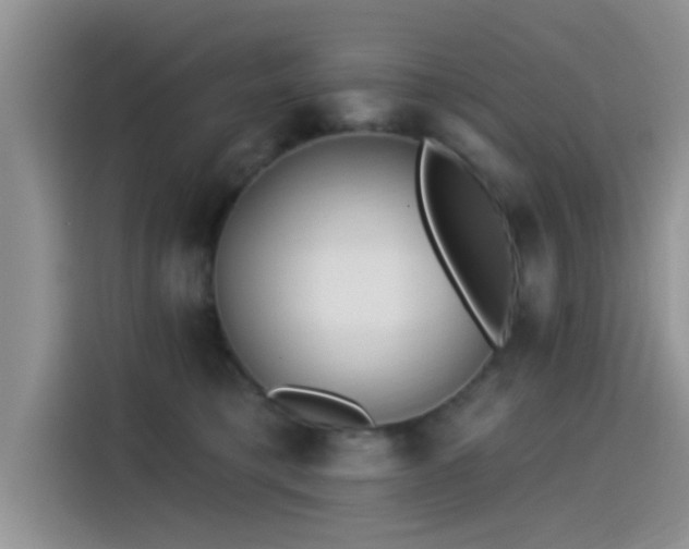 X0000115430421200911121107
