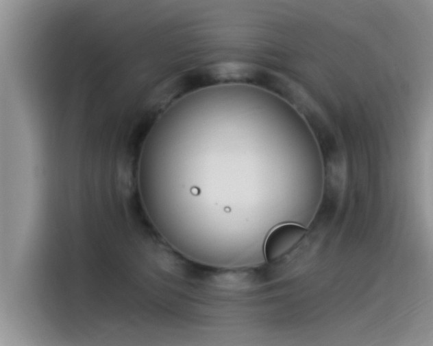 X0000115430422200911121107