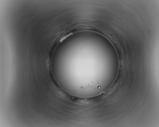 X0000115430423200911121107