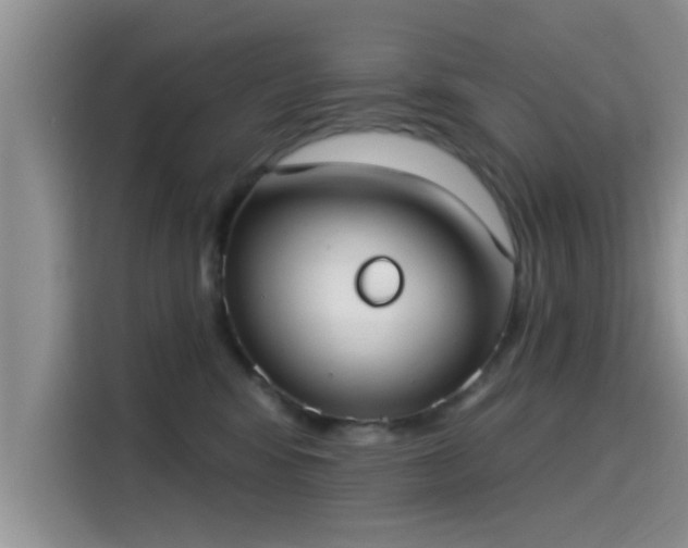 X0000115430424200911121107