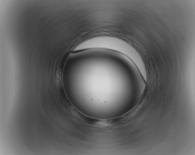 X0000115430425200911121107