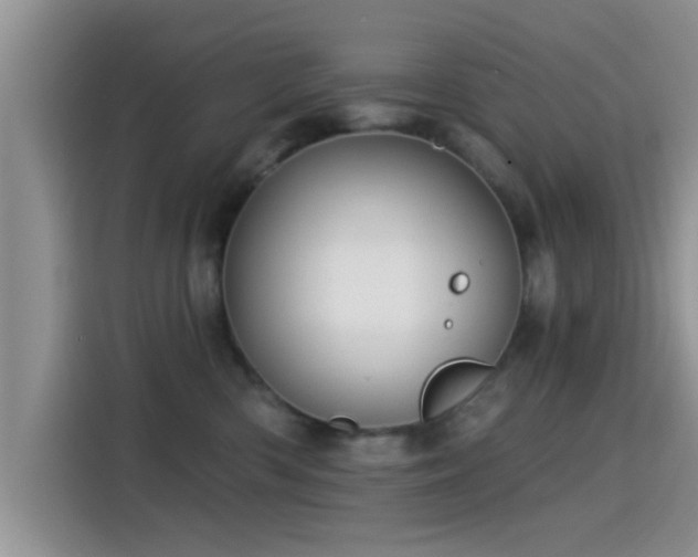 X0000115430426200911121107