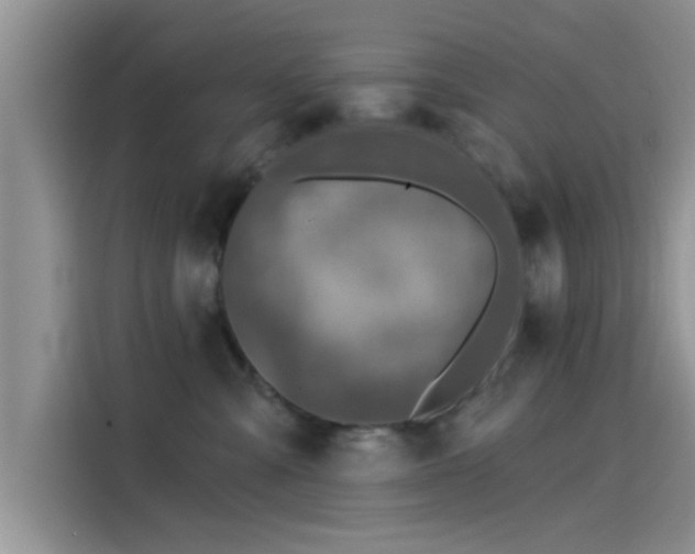 X0000115430427200911121107