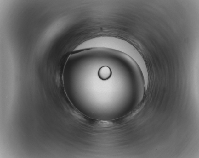 X0000115430429200911121107