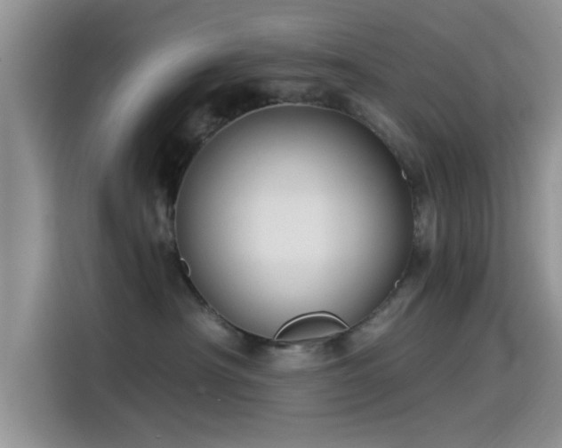 X0000115430430200911121107