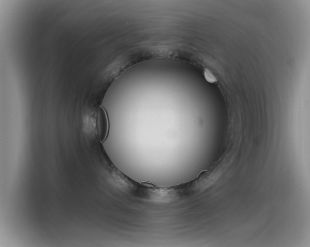 X0000115430432200911121107