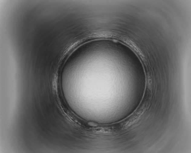X0000115430434200911121106