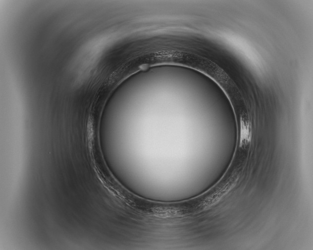 X0000115430435200911121106