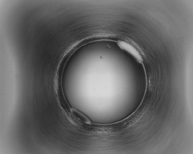 X0000115430436200911121106