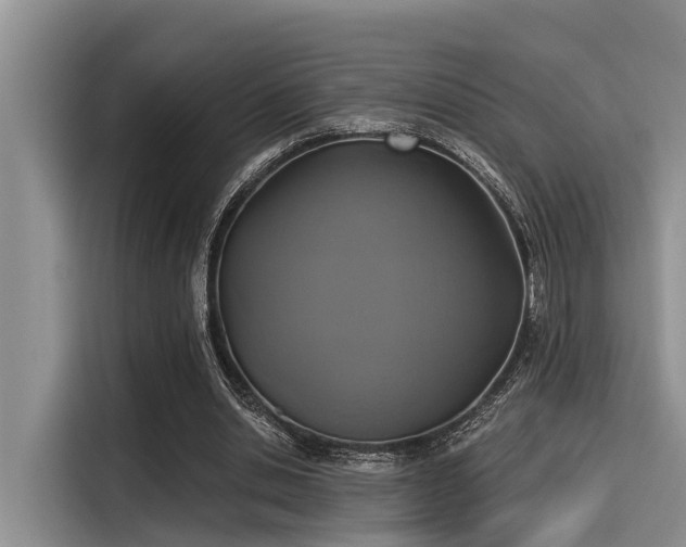 X0000115430438200911121106