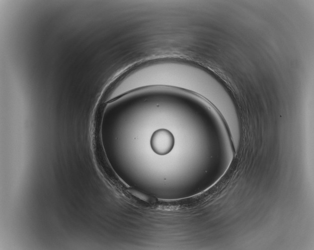 X0000115430440200911121106
