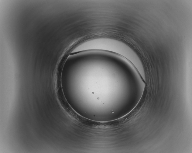 X0000115430444200911121106