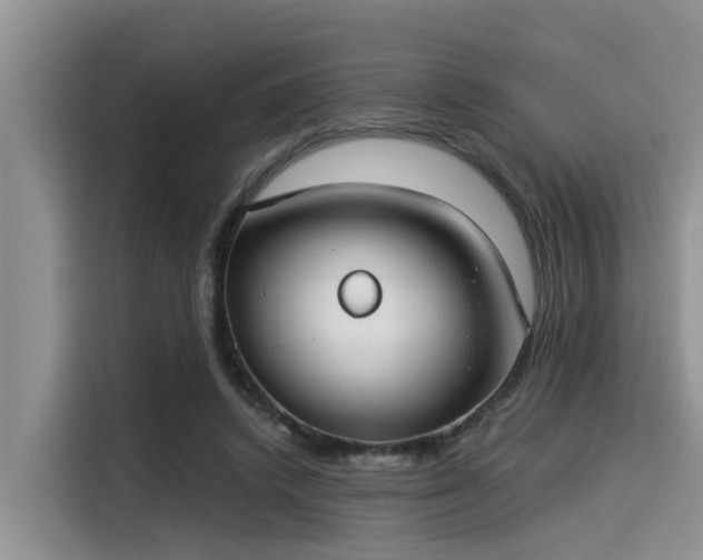 X0000115430448200911121106