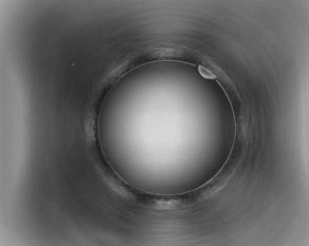 X0000115430450200911121106