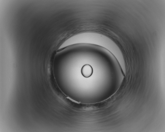X0000115430452200911121106