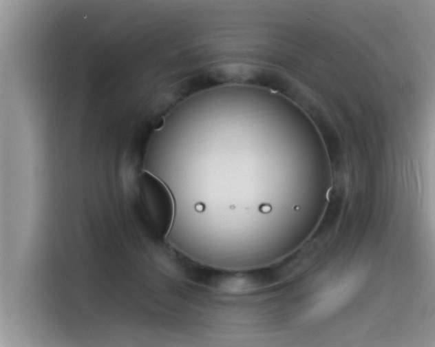 X0000115430460200911121106