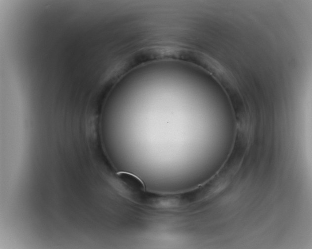 X0000115430462200911121107