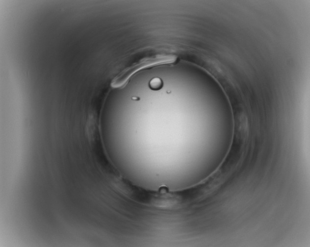 X0000115430463200911121107