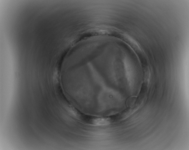 X0000115430465200911121107