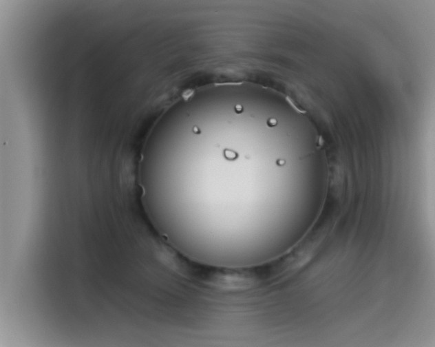 X0000115430466200911121107
